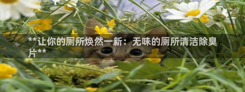 凯时k66会员登录：**让你的厕所焕然一新：无味的厕所清