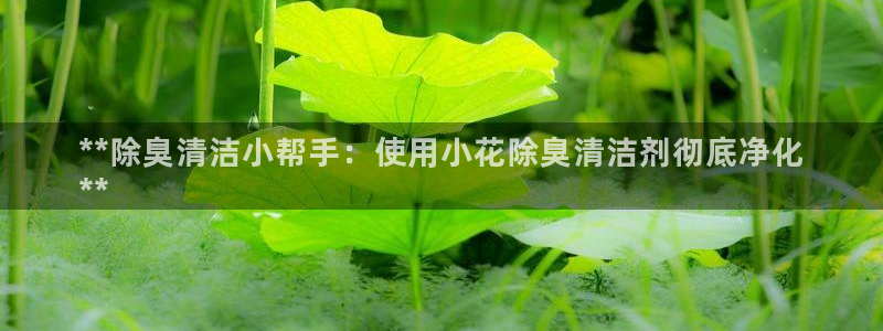 尊龙物流怎么样