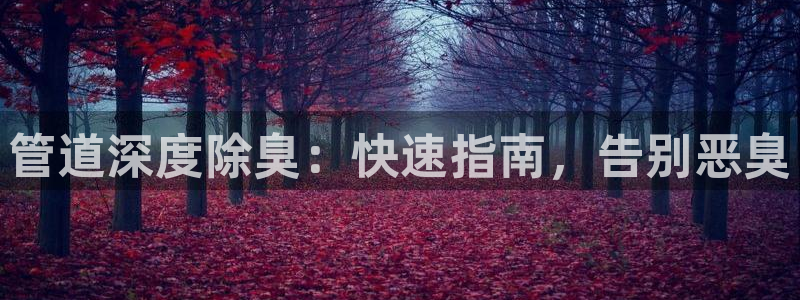 旧版尊龙人生就是博下载