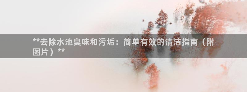 尊龙凯时 人生就是搏 平台