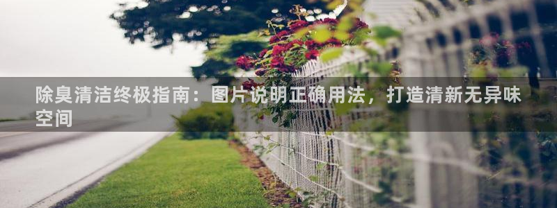尊龙官方网站是真的吗