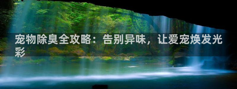 尊龙集团有限公司地址：宠物除臭全攻略：告别异味，让爱宠焕