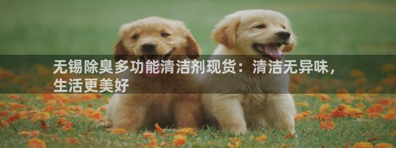 尊龙eight is enough