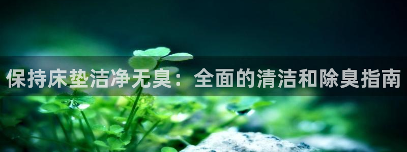尊龙服饰品牌介绍