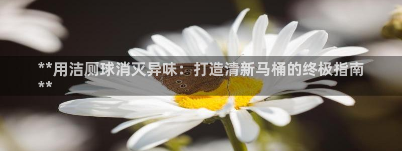 尊龙凯时老板
