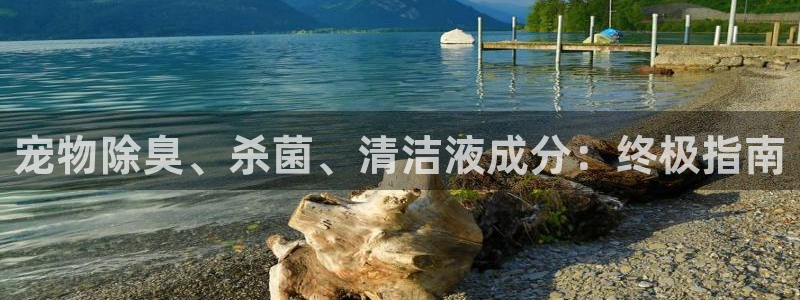 尊龙网站注册站注册：宠物除臭、杀菌、清洁液成分：终极指南