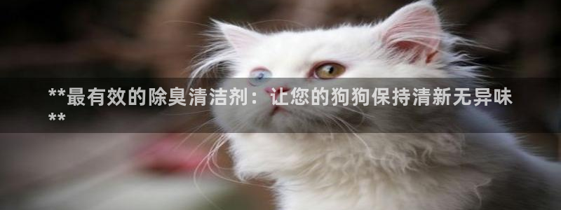 尊龙凯时麻将胡了