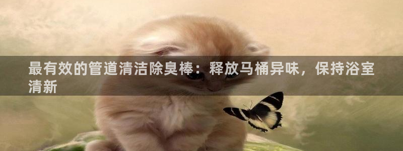 凯时在线平台官网