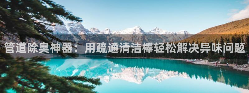 尊龙用现金一下可靠送38元：管道除臭神器：用疏通清洁棒轻