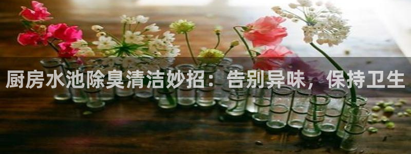 尊龙人生就是博首页入口