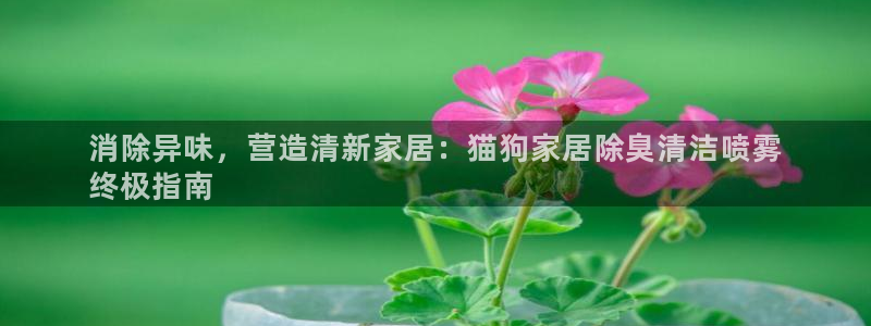 尊龙凯时这个平台怎么样