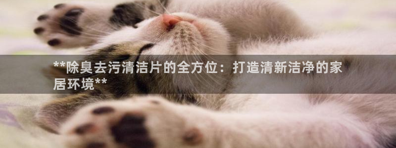 尊龙AG旗舰厅官网