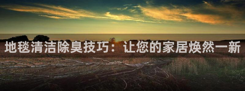 尊龙ag旗舰厅手机版