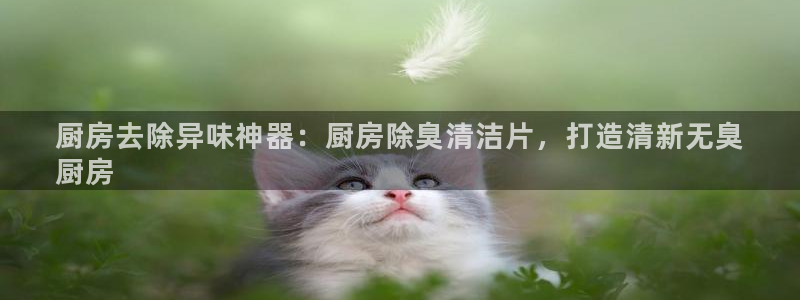 z6尊龙官网