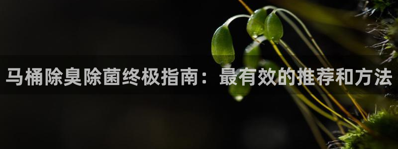 Z6尊龙凯时官方