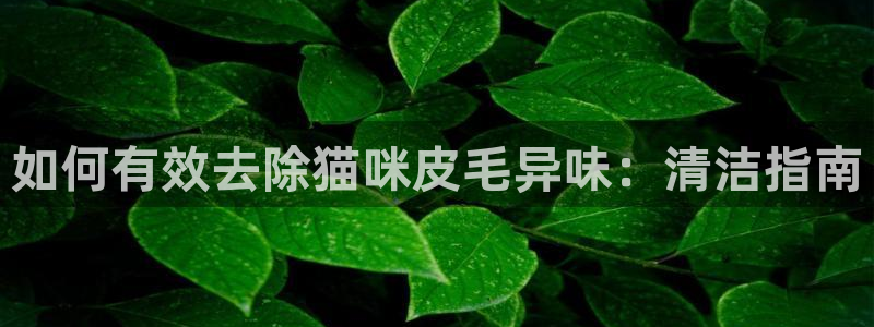 尊龙凯时有封银行卡的吗：如何有效去除猫咪皮毛异味：清洁指