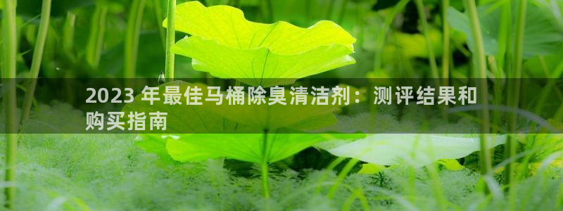 尊龙现在：2023 年最佳马桶除臭清洁剂：测评结果和
购
