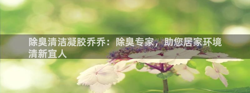 尊龙凯时平台怎么样：除臭清洁凝胶乔乔：除臭专家，助您居家
