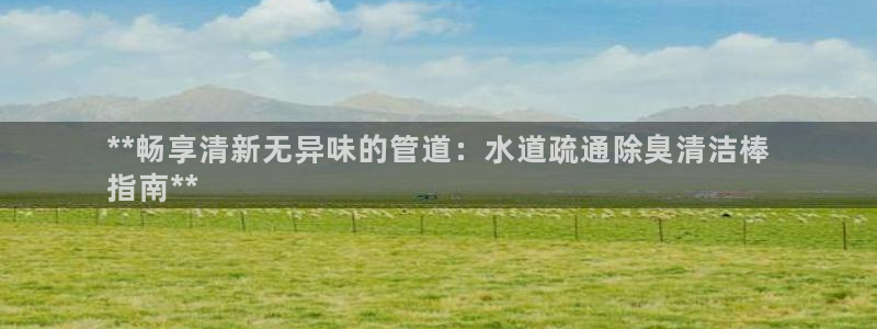 尊龙AG旗舰店：**畅享清新无异味的管道：水道疏通除臭清