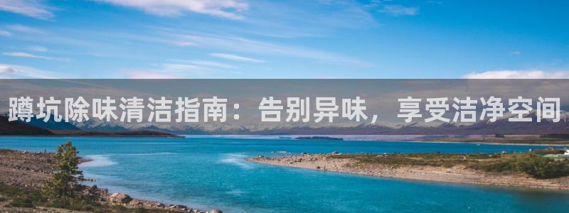 z6尊龙凯时官方：蹲坑除味清洁指南：告别异味，享受洁净空