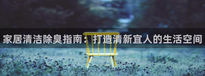 尊龙人生就是博官网登录手机：家居清洁除臭指南：打造清新宜