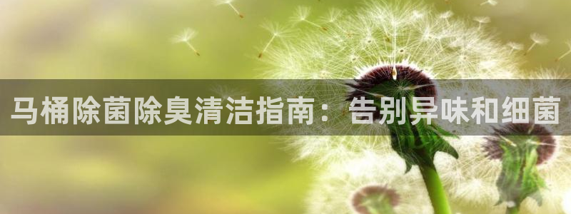 尊龙凯时平台信誉怎样：马桶除菌除臭清洁指南：告别异味和细