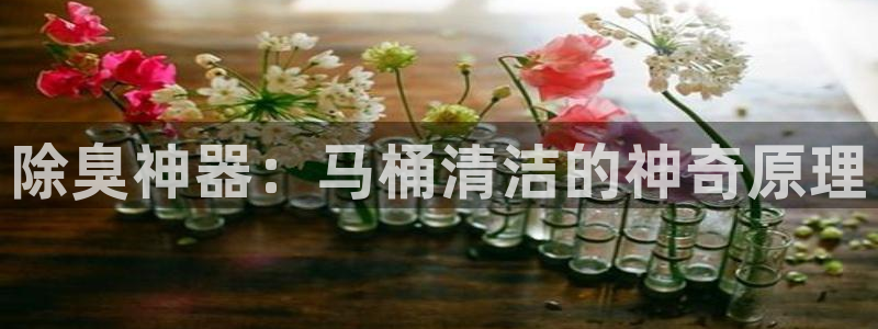 尊龙am i blue：除臭神器：马桶清洁的神奇原理