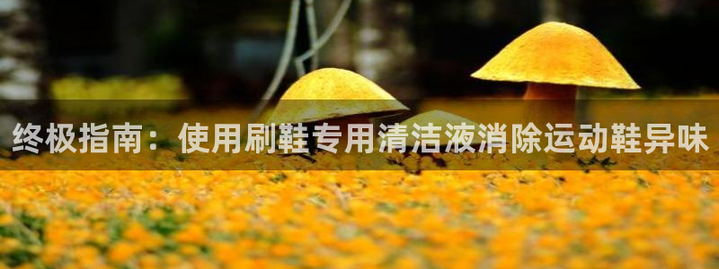 尊龙人生就是博旧版现金娱乐一下：终极指南：使用刷鞋专用清