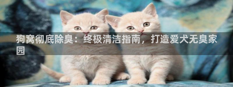 AG尊龙登陆网址：狗窝彻底除臭：终极清洁指南，打造爱犬无