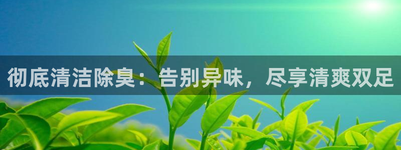 尊龙凯时网站怎么样