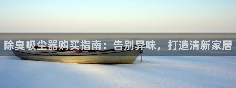 凯时APP官网首页：除臭吸尘器购买指南：告别异味，打造清