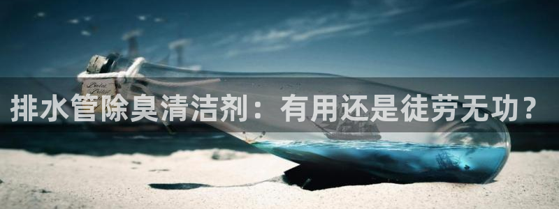 尊龙休闲e站怎么样：排水管除臭清洁剂：有用还是徒劳无功？