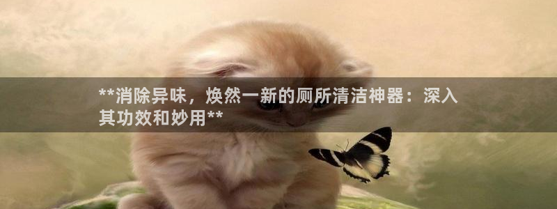 尊龙l1500：**消除异味，焕然一新的厕所清洁神器：深