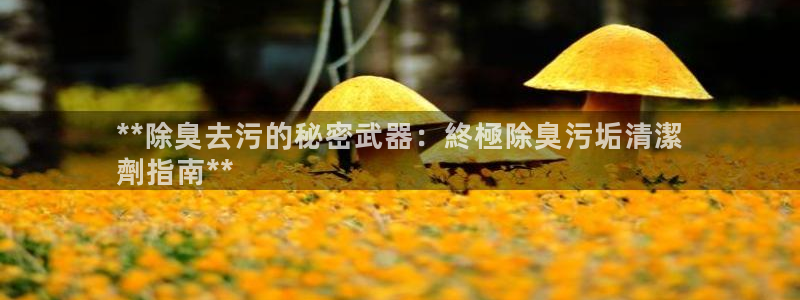 尊龙人生就是博一下下：**除臭去污的秘密武器：終極除臭污