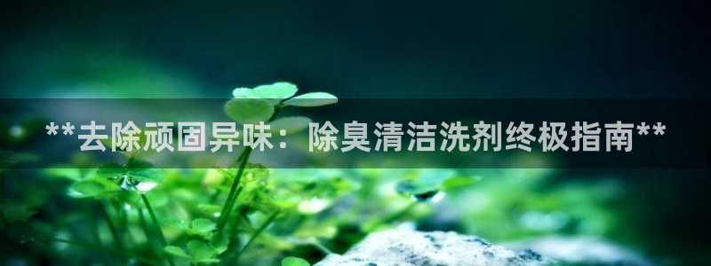 尊龙官网注册：**去除顽固异味：除臭清洁洗剂终极指南**