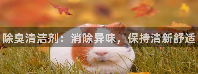 尊龙手机官方客户端下载