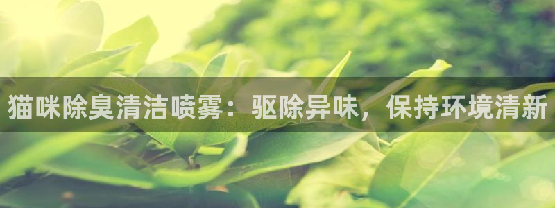 凯时尊龙官网网址