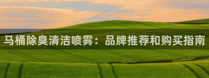 尊龙凯时电竞注册：马桶除臭清洁喷雾：品牌推荐和购买指南
