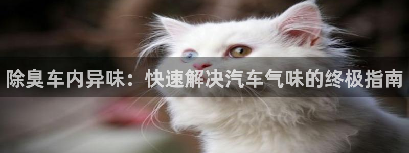 尊龙凯时为什么输了钱