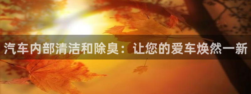 尊龙官网地址：汽车内部清洁和除臭：让您的爱车焕然一新