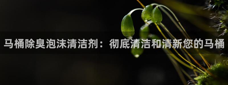 尊龙凯时合法吗?：马桶除臭泡沫清洁剂：彻底清洁和清新您的