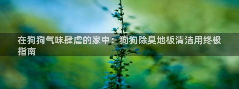 尊龙凯时国际
