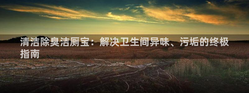 尊龙ag旗舰厅官网·(中国)官方入口：清洁除臭洁厕宝：解