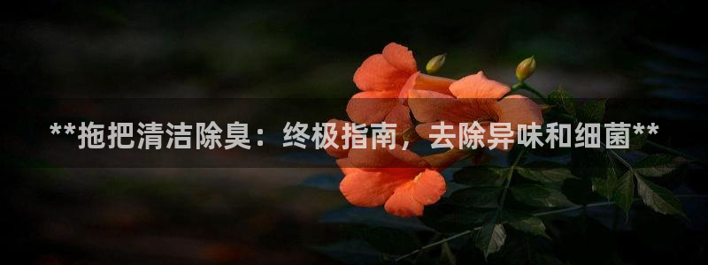 尊龙D88现金旧版：**拖把清洁除臭：终极指南，去除异味