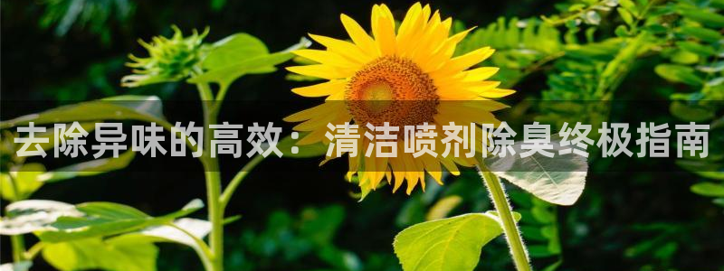 尊龙人生就是博旧版手机可靠送38元：去除异味的高效：清洁