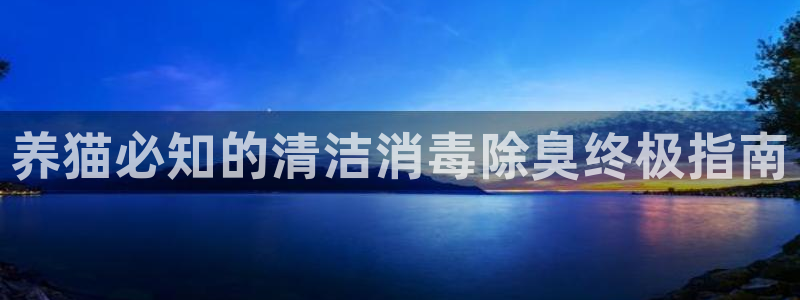 尊龙手机端下载：养猫必知的清洁消毒除臭终极指南