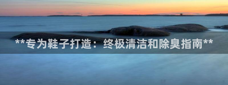 尊龙游戏中心：**专为鞋子打造：终极清洁和除臭指南**