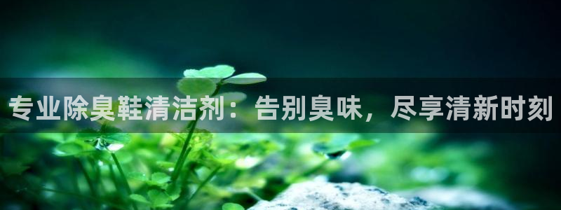 尊龙现金d88：专业除臭鞋清洁剂：告别臭味，尽享清新时刻