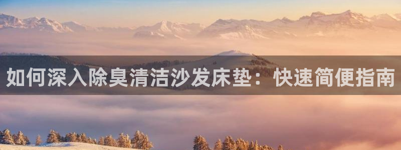 尊龙凯时不朽情缘：如何深入除臭清洁沙发床垫：快速简便指南
