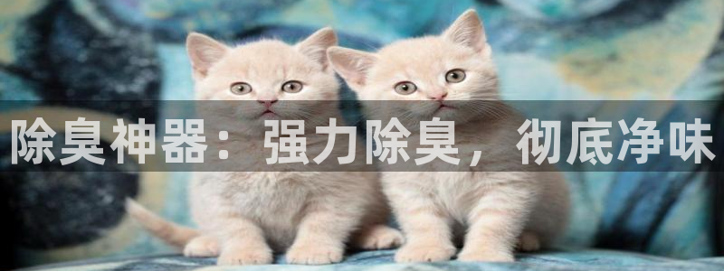 尊龙人生就要博旧版：除臭神器：强力除臭，彻底净味